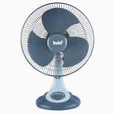 fan